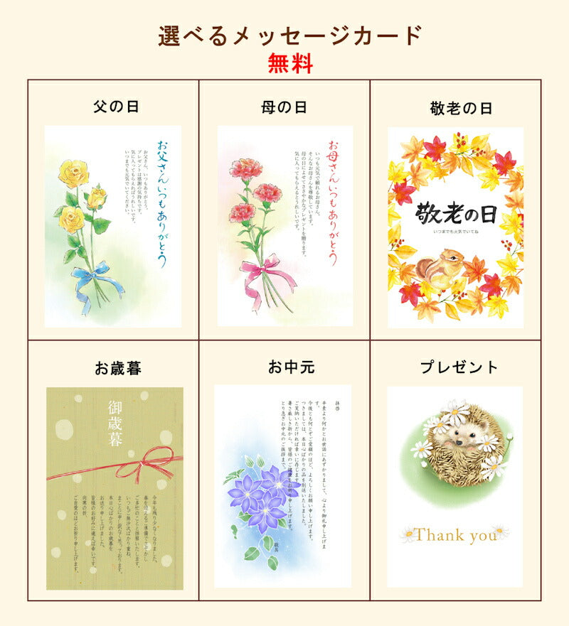 【送料込み】手延べ五色そうめん5束 2箱 ミックス３袋合計５セット 五色そうめん株式会社