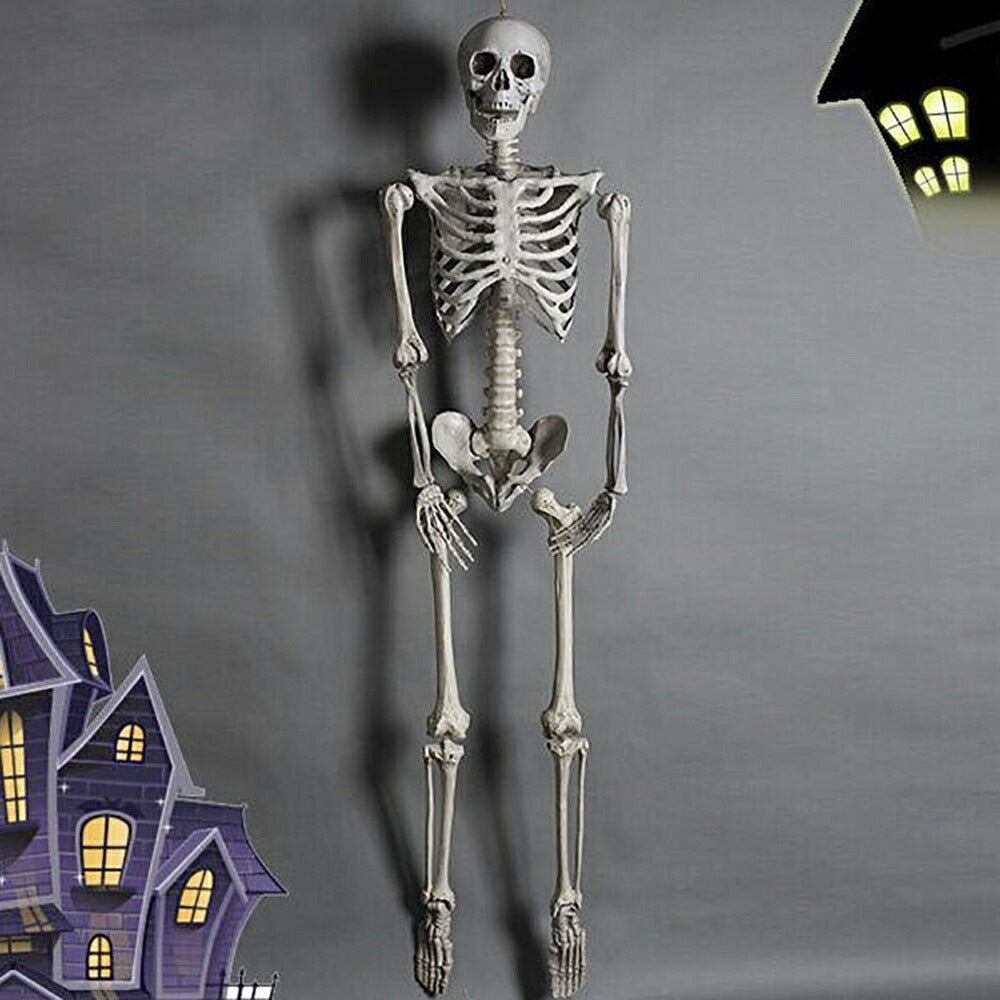 ハロウィン 骸骨 ガイコツ 骨 等身大 置物 約165cm ホラー リアル 本格的 誕生日 飾り付け 室内 置物 仮装 クリスマス用品 怖い 恐怖 スケルトン skeleton 骨 ボーン 渋い かわいい Xmas Christmas 豪華グッズ