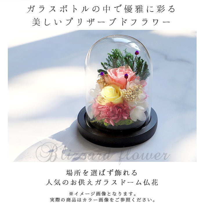 【菫・ガラスドーム】 プリザーブドフラワー ガラスドーム 通販 仏花 仏壇用 ブリザードフラワー プリザードフラワー お供え 花 枯れない お盆 彩華 花器付き フラワーギフト プレゼント 誕生日 退職祝い
