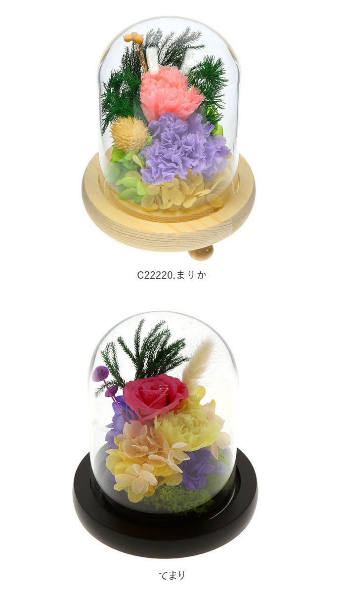 【菫・ガラスドーム】 プリザーブドフラワー ガラスドーム 通販 仏花 仏壇用 ブリザードフラワー プリザードフラワー お供え 花 枯れない お盆 彩華 花器付き フラワーギフト プレゼント 誕生日 退職祝い