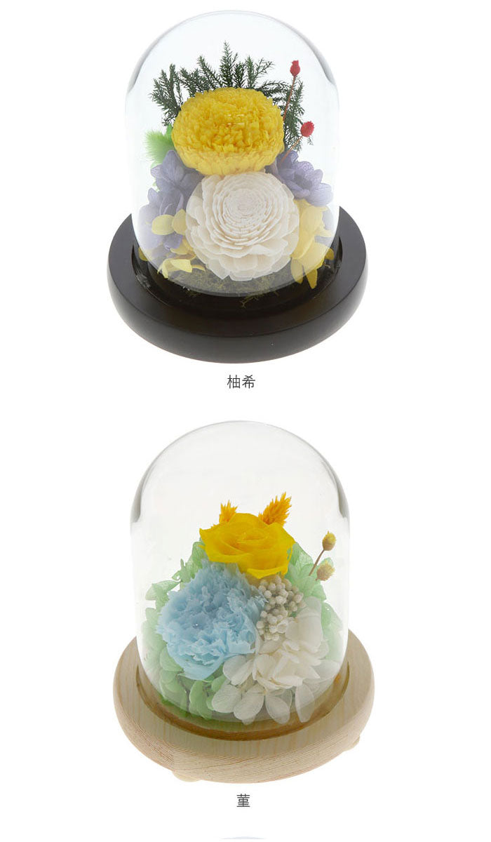 【C25520.春香・ガラスドーム】 プリザーブドフラワー ガラスドーム 通販 仏花 仏壇用 ブリザードフラワー プリザードフラワー お供え 花 枯れない お盆 彩華 花器付き フラワーギフト プレゼント 誕生日 退職祝い