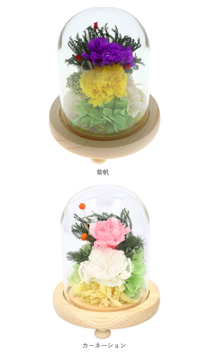 【C25520.春香・ガラスドーム】 プリザーブドフラワー ガラスドーム 通販 仏花 仏壇用 ブリザードフラワー プリザードフラワー お供え 花 枯れない お盆 彩華 花器付き フラワーギフト プレゼント 誕生日 退職祝い