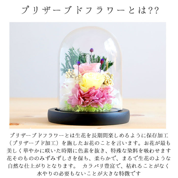 【菫・ガラスドーム】 プリザーブドフラワー ガラスドーム 通販 仏花 仏壇用 ブリザードフラワー プリザードフラワー お供え 花 枯れない お盆 彩華 花器付き フラワーギフト プレゼント 誕生日 退職祝い