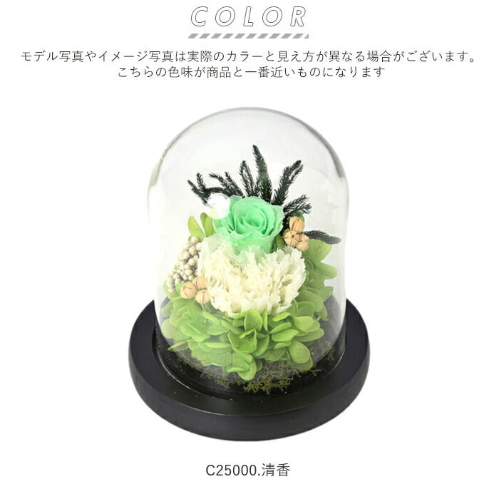 【C25520.春香・ガラスドーム】 プリザーブドフラワー ガラスドーム 通販 仏花 仏壇用 ブリザードフラワー プリザードフラワー お供え 花 枯れない お盆 彩華 花器付き フラワーギフト プレゼント 誕生日 退職祝い