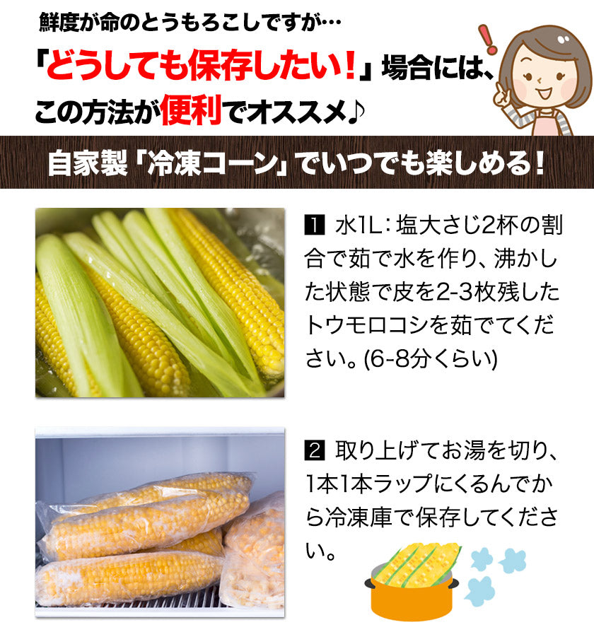 日本最速級6月中出荷 とうもろこし ゴールドラッシュ 30本入り (3L~L サイズ)