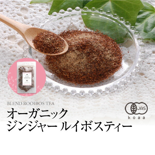 有機JAS オーガニック・ジンジャー・ルイボスティー ティーバッグ3g×20包 【 しょうが ショウガ 温活 お茶 ブレンド ジンジャーティー 】