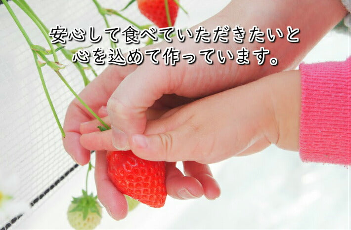食べ比べ こだわりじっくり育てたイチゴセット