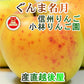 【フルーツ りんご 信州りんご】長野県佐久市 小林りんご園樹上完熟信州りんご ぐんま名月 3kg（7玉～12玉）長野県認定 エコファーマー農園送料無料【リンゴ 果物 贈答品 ギフト】