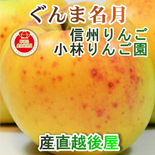 【フルーツ りんご 信州りんご】長野県佐久市 小林りんご園樹上完熟信州りんご ぐんま名月 5kg（12玉～20玉）長野県認定 エコファーマー農園送料無料【リンゴ 果物 贈答品 ギフト】