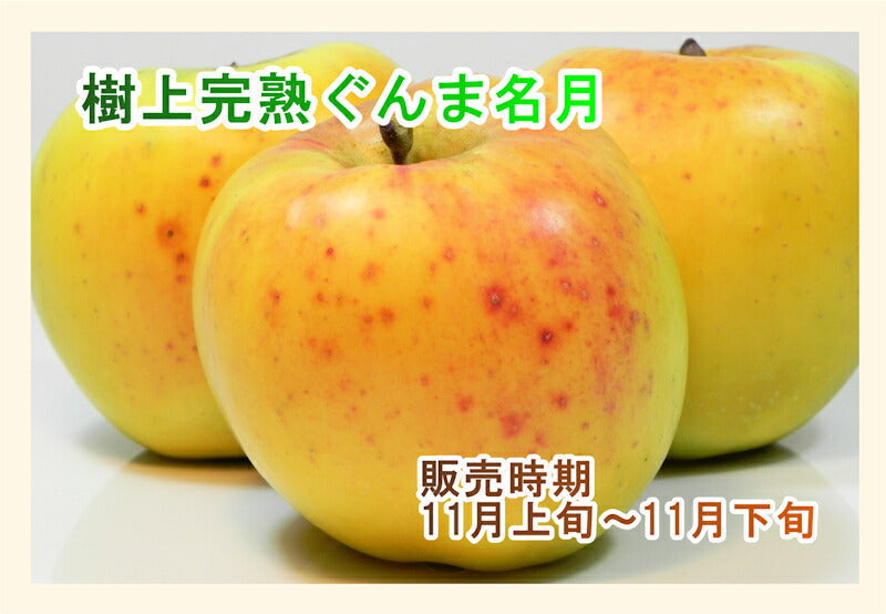 【フルーツ りんご 信州りんご】長野県佐久市 小林りんご園樹上完熟信州りんご ぐんま名月 3kg（7玉～12玉）長野県認定 エコファーマー農園送料無料【リンゴ 果物 贈答品 ギフト】