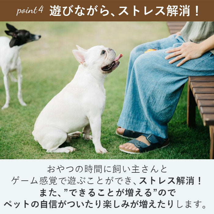【グリーン・雪形】 フードボウル 犬 通販 犬用 知育おもちゃ ペット おもちゃ フードボール お留守番 留守番 イヌ 小型犬 わんこ 中型犬 早食い防止 おやつボール 知育トイ トリーツ ストレス解消