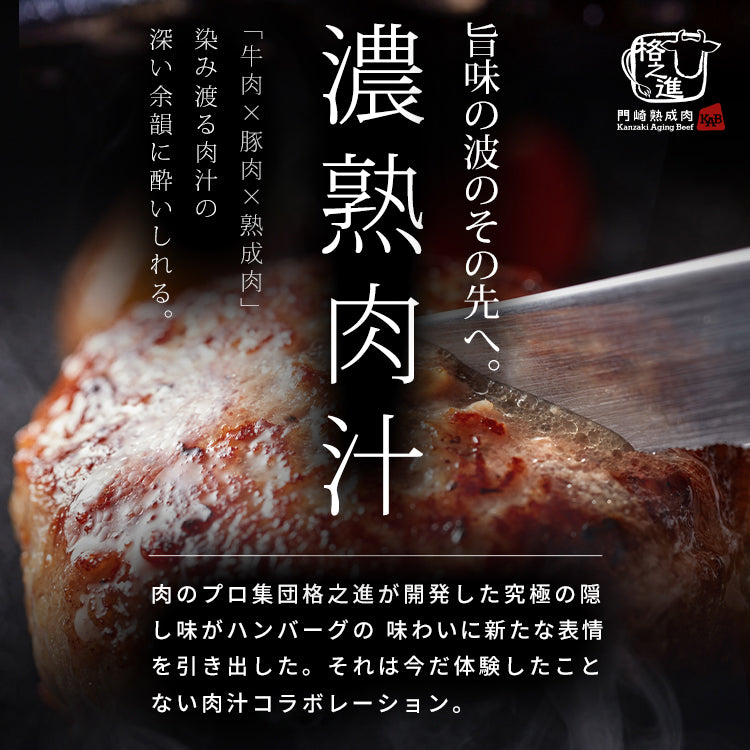 牛醤ハンバーグ  冷凍  格之進 （10個セット） 国産 牛肉 白金豚 無添加