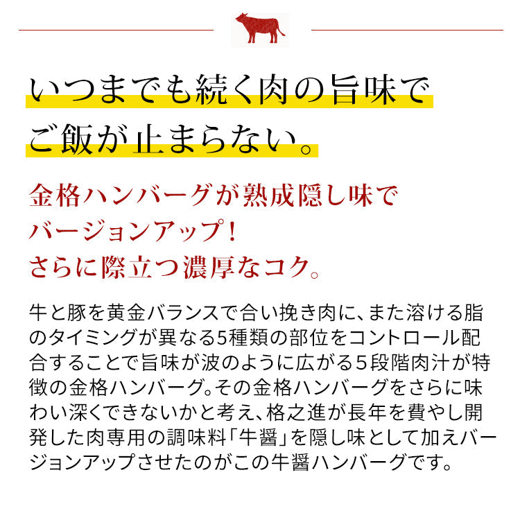 【限定クーポンで20%OFF】牛醤ハンバーグ  格之進 （20個セット） 国産 牛肉 白金豚 無添加