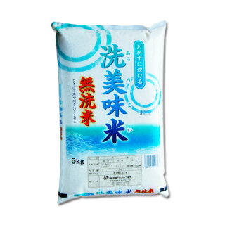 5kg×1袋【5kg】無洗米 令和２年産  九州 宮崎県産ヒノヒカリ 洗美味米(あらうまい)
