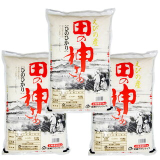 5kg×3袋【15kg】 令和２年 九州 宮崎県えびの産ひのひかり