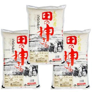 5kg×3袋【15kg】 令和３年 九州 宮崎県えびの産ひのひかり