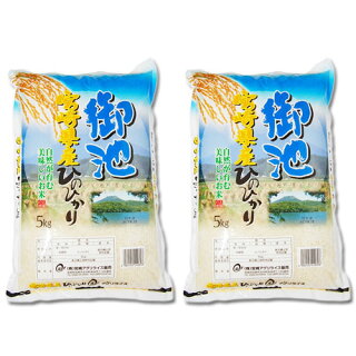5kg×2袋【10kg】令和２年  九州 宮崎県産ひのひかり