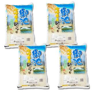 5kg×4袋【20kg】令和３年  九州 宮崎県産ひのひかり