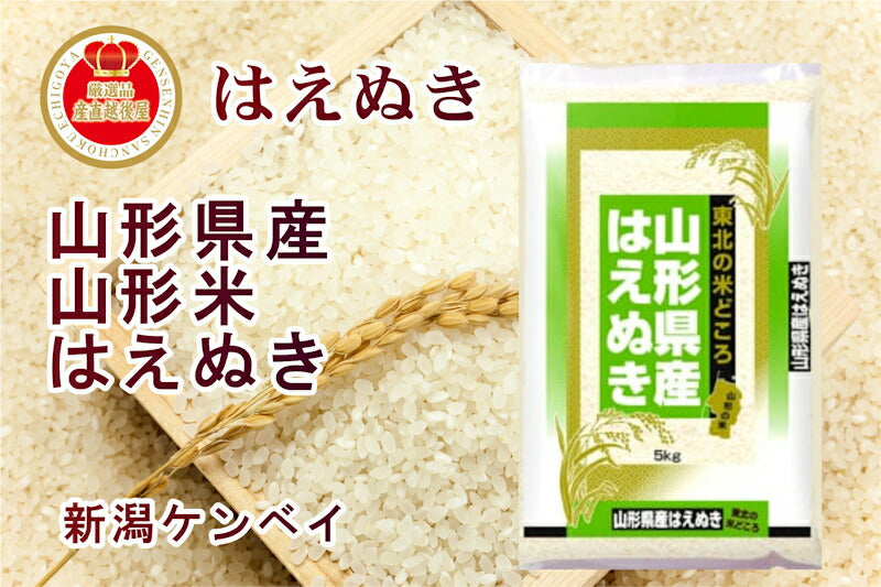 【送料込み】令和４年産 山形県産 はえぬき30kg 山形県産地限定 新潟ケンベイ精米