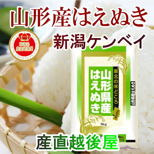 【送料込み】令和５年産 はえぬき 20kg 山形県産地限定 新潟ケンベイ精米