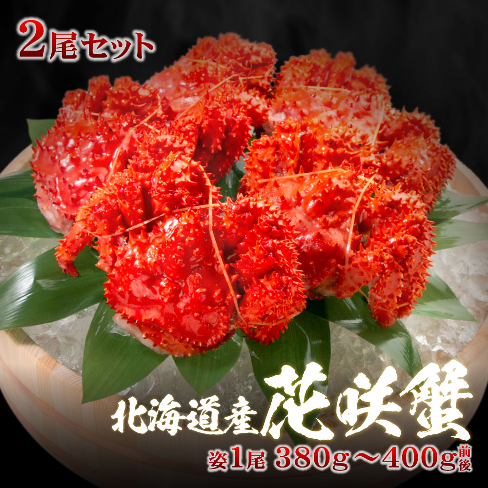 【北海道産】名産地根室の花咲ガニ400g×2杯セット