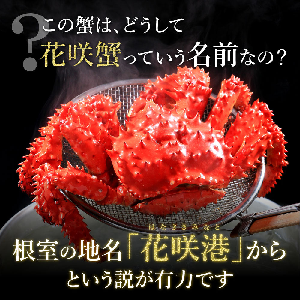 【北海道産】名産地根室の花咲ガニ400g×2杯セット