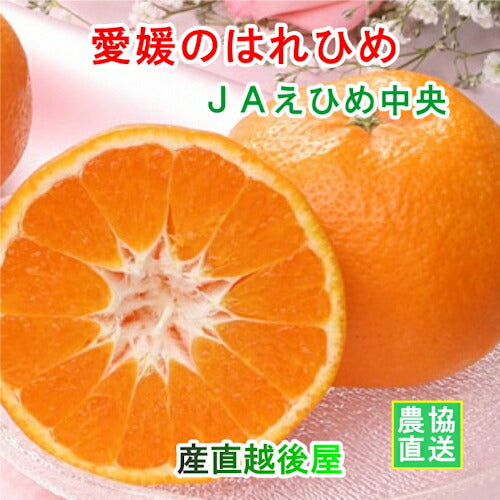 【みかん はれひめ 愛媛県 送料無料】愛媛県の農協 JAえひめ中央 愛媛のはれひめ 5kg農協産地直送便でお届け【ギフト 贈り物 プレゼント】