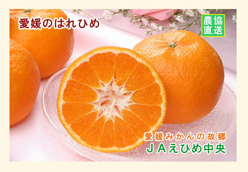 【みかん はれひめ 愛媛県 送料無料】愛媛県の農協 JAえひめ中央 愛媛のはれひめ 5kg農協産地直送便でお届け【ギフト 贈り物 プレゼント】
