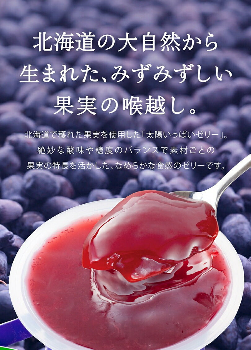 【北海道限定】morimoto 太陽いっぱいのハスカップ＆真っ赤なゼリー【3個入×各4個】