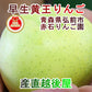 【フルーツ りんご 青森りんご 黄王】青森県弘前市 赤石りんご園青森りんご 早生黄王 2.5kg（6玉～10玉）通常品送料無料 クール便【リンゴ 果物 贈答品 ギフト】