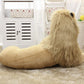 【人気商品】ぬいぐるみ ライオン クッション 特大 1.1m LION 百獣の王 抱き枕 動物 アニマル かわいい チャーミング おもちゃ 誕生日 クリスマス ギフト サプライズ 友人 家族 パーティー 恋人 お遊戯会 子供 イベント SNS お返し品