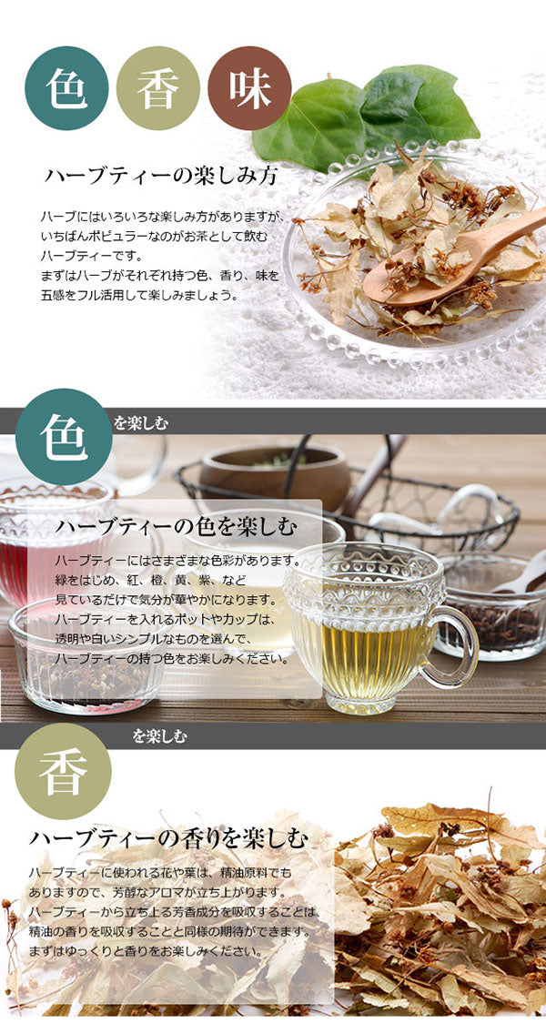 メディカルハーブ検定対応オーガニックハーブセット 【送料無料】