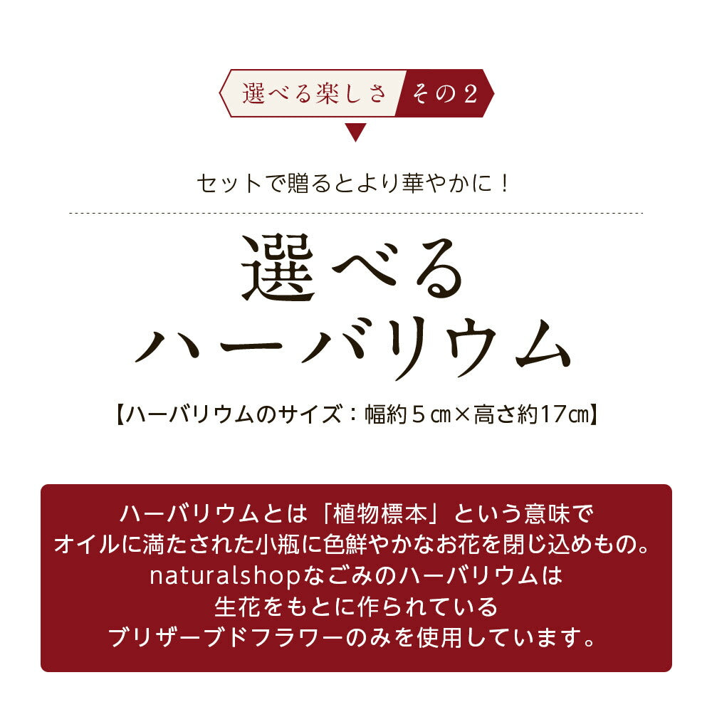 【※選択肢商品】ハーバリウムとフレーバールイボスのギフトセット 【送料無料】 ルイボスティー ルイボス ハーバリウム  お歳暮母の日 敬老の日 お中元 ギフト プレゼント 誕生日 お祝い