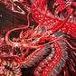 風水 タペストリー 紅龍 ドラゴン 150×100 竜 絵 ポスター 皇龍 玄関 絵 龍の飾り 壁 風水グッズ 赤竜 赤龍 ドラゴン 壁掛け 開運祈願 金運祈願 風水龍 アイテム 龍神 開運 金運 財産運 出世運 恋愛運 幸福 成功 プレゼント