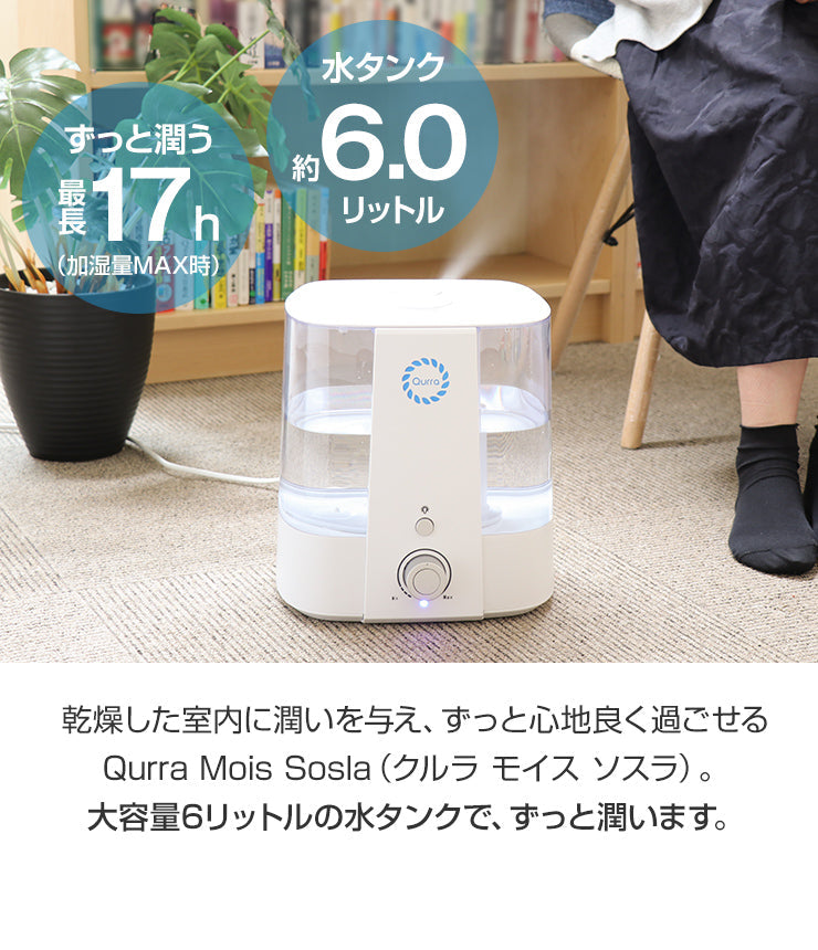 スチーム式加湿器 加湿器 スチーム 上部給水  加熱式 卓上 6L 加熱式加湿器 Qurra(3R-HHT01WT)
