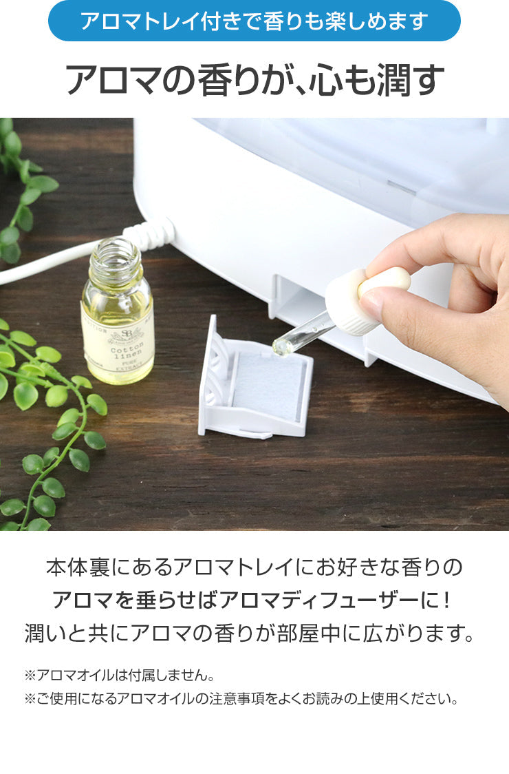 スチーム式加湿器 加湿器 スチーム 上部給水  加熱式 卓上 6L 加熱式加湿器 Qurra(3R-HHT01WT)