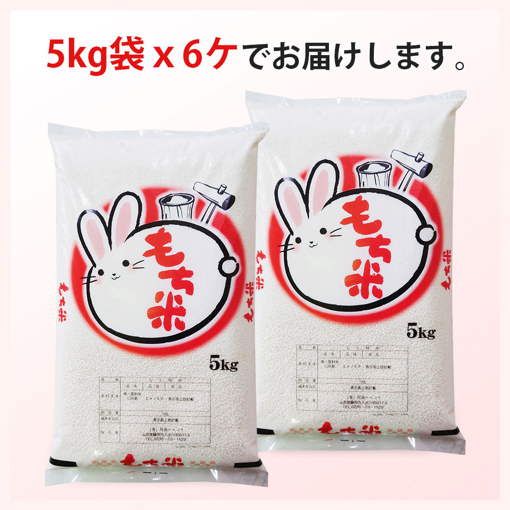 もち米 30kg (5kg×6袋) 山形県産 ヒメノモチ 令和3年産 餅米 国内産 新米