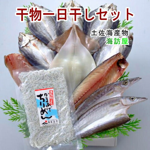 【送料込み】高知県高知市場 土佐海産物 海訪屋厳選１日干セット 冷凍便でお届け
