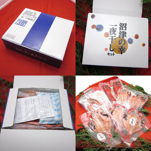 送料無料 沼津の幸 一夜干しセット 冷凍便 金目鯛 真アジ 開きイカ かます サバ味醂 贈答用 お取り寄せグルメ 食品 ギフト