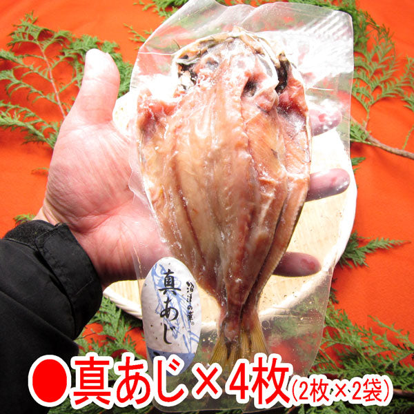 送料無料 沼津の幸 一夜干しセット 冷凍便 金目鯛 真アジ 開きイカ かます サバ味醂 贈答用 お取り寄せグルメ 食品 ギフト