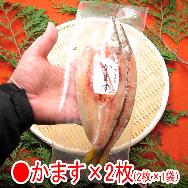 送料無料 沼津の幸 一夜干しセット 冷凍便 金目鯛 真アジ 開きイカ かます サバ味醂 贈答用 お取り寄せグルメ 食品 ギフト