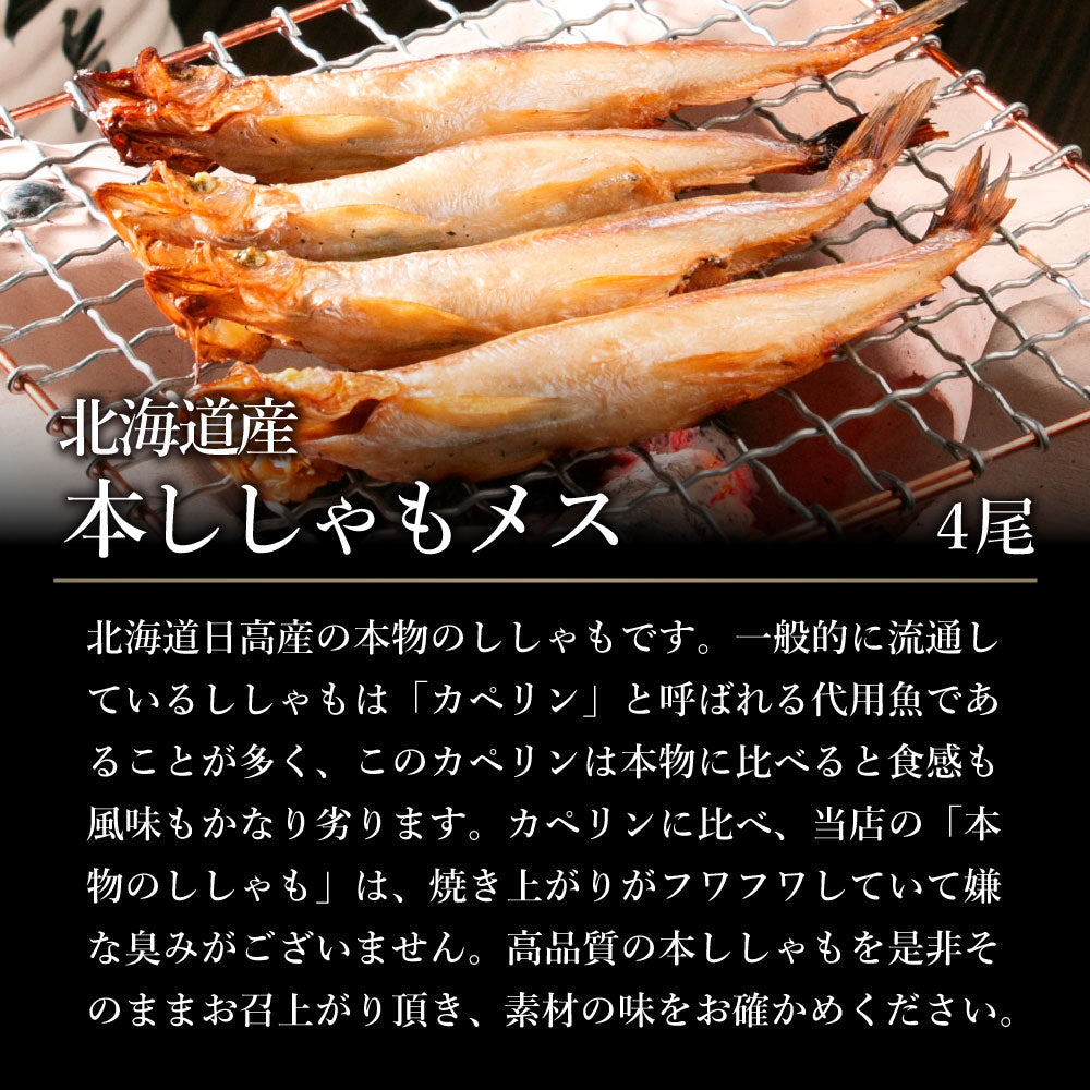 北海道の市場の本格干物セット全7種12尾