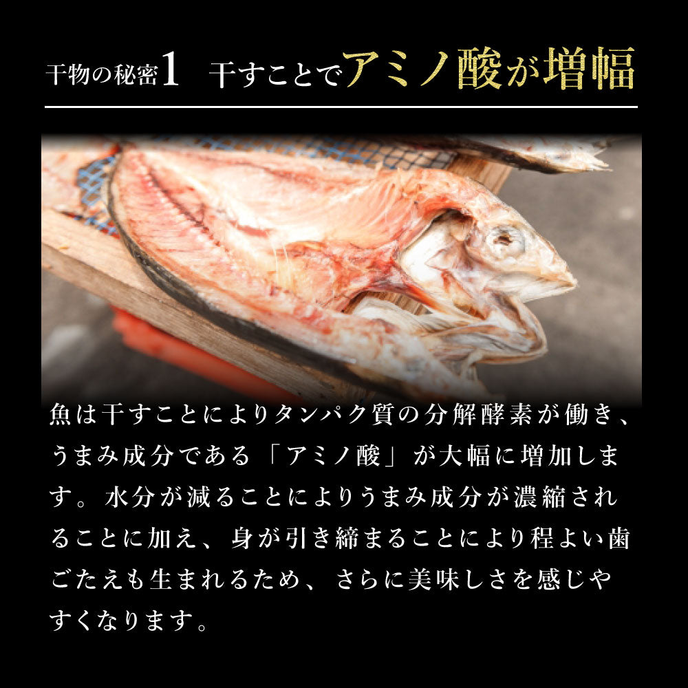 北海道の市場の本格干物セット全7種12尾