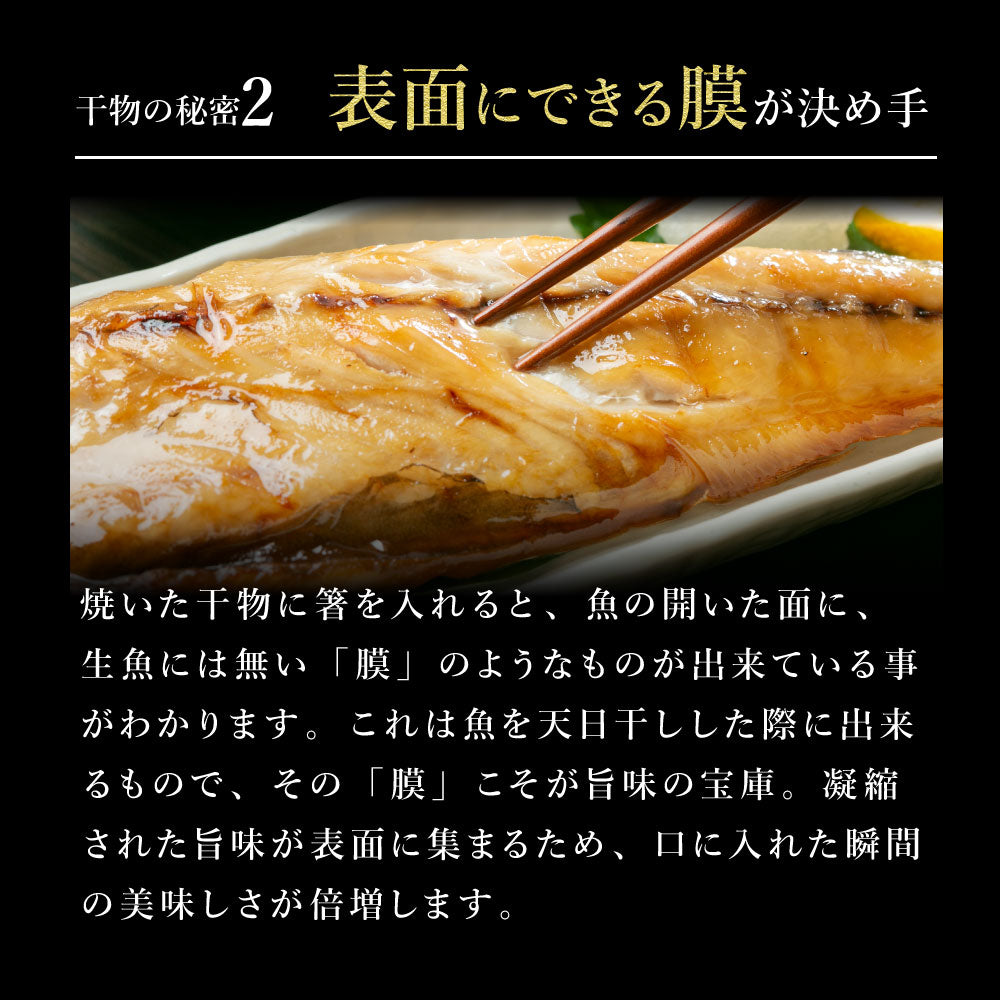 北海道の市場の本格干物セット全7種12尾