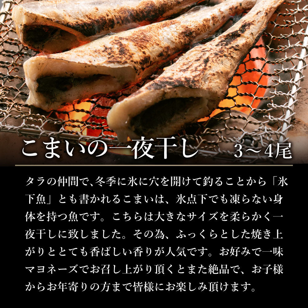北海道の市場の本格干物セット全7種12尾