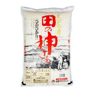 5kg×1袋【5kg】 令和３年 九州 宮崎県えびの産ひのひかり