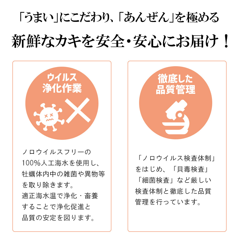 生食用殻付き牡蠣　6個×2袋
