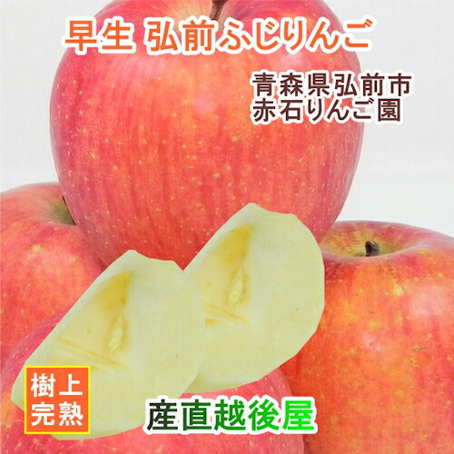 【フルーツ りんご 青森りんご つがる】青森県弘前市 赤石りんご園青森りんご 早生津軽 4.5kg（13玉～20玉）通常品送料無料 クール便【リンゴ 果物 贈答品 ギフト】