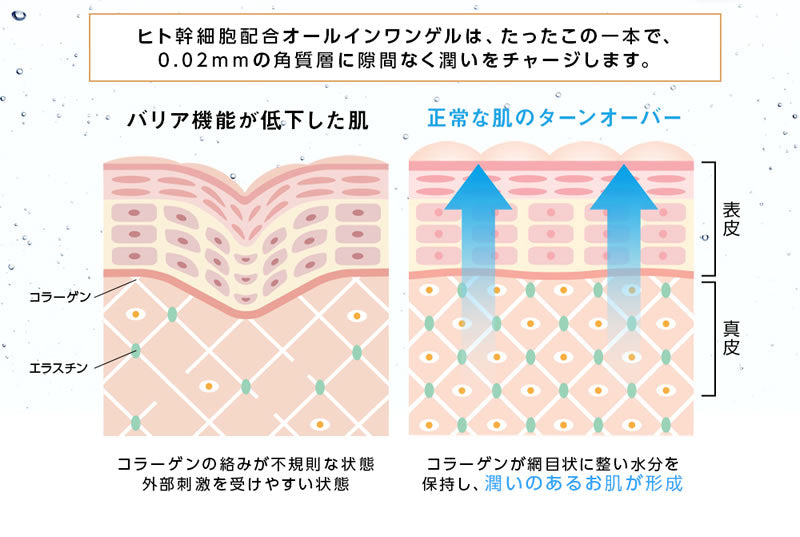 ヒト幹細胞 オールインワン ゲル 美容液 ヒト幹細胞培養液 ヒトカン 化粧水 乳液 クリーム パック【HITO-KAN Premium All in One Gel270g】