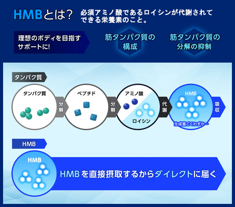 HMB サプリ タブレット 1袋 500粒 約1ヶ月分